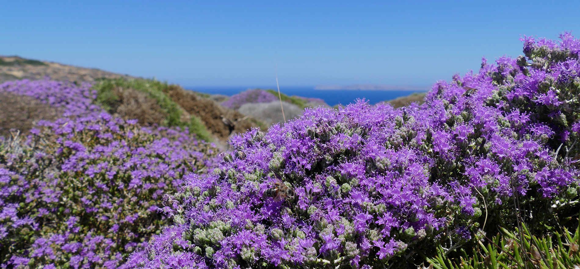 la crète, une ile grecque