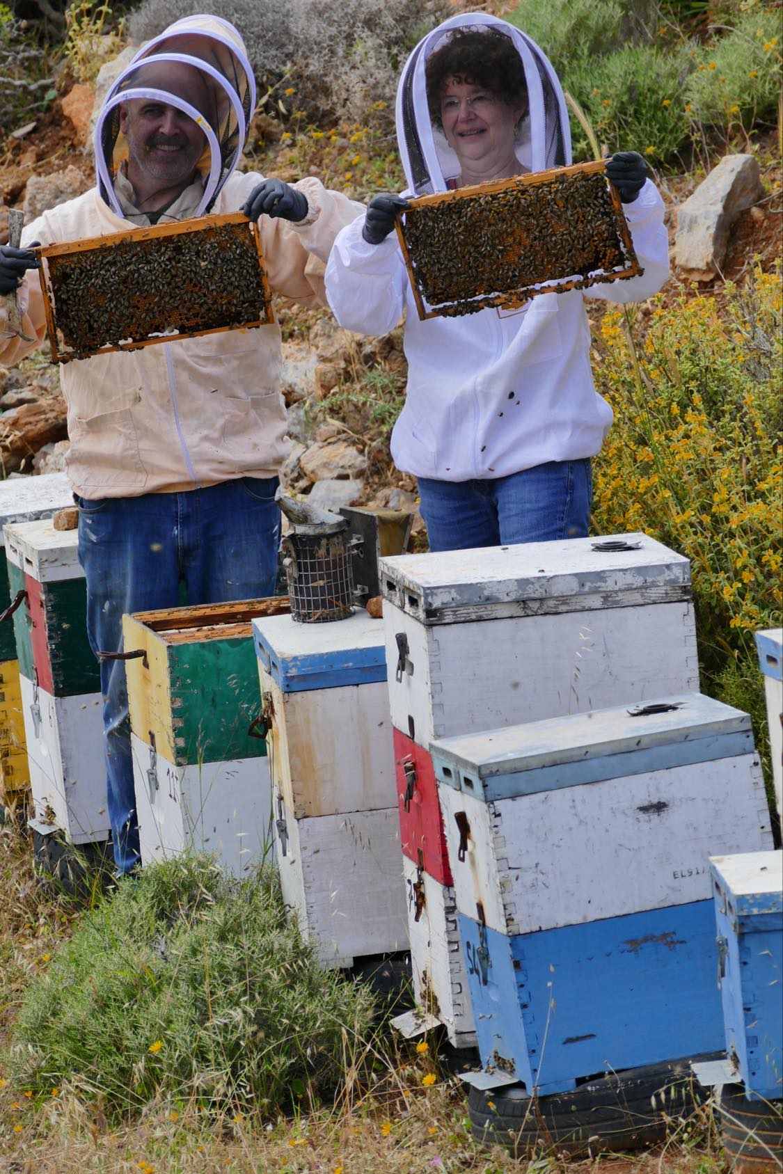 soin des abeilles en crète
