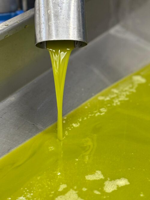 HUILE D OLIVE FRAICHE