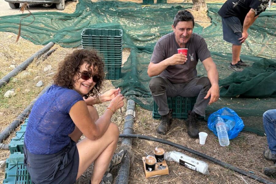 La récolte précoce