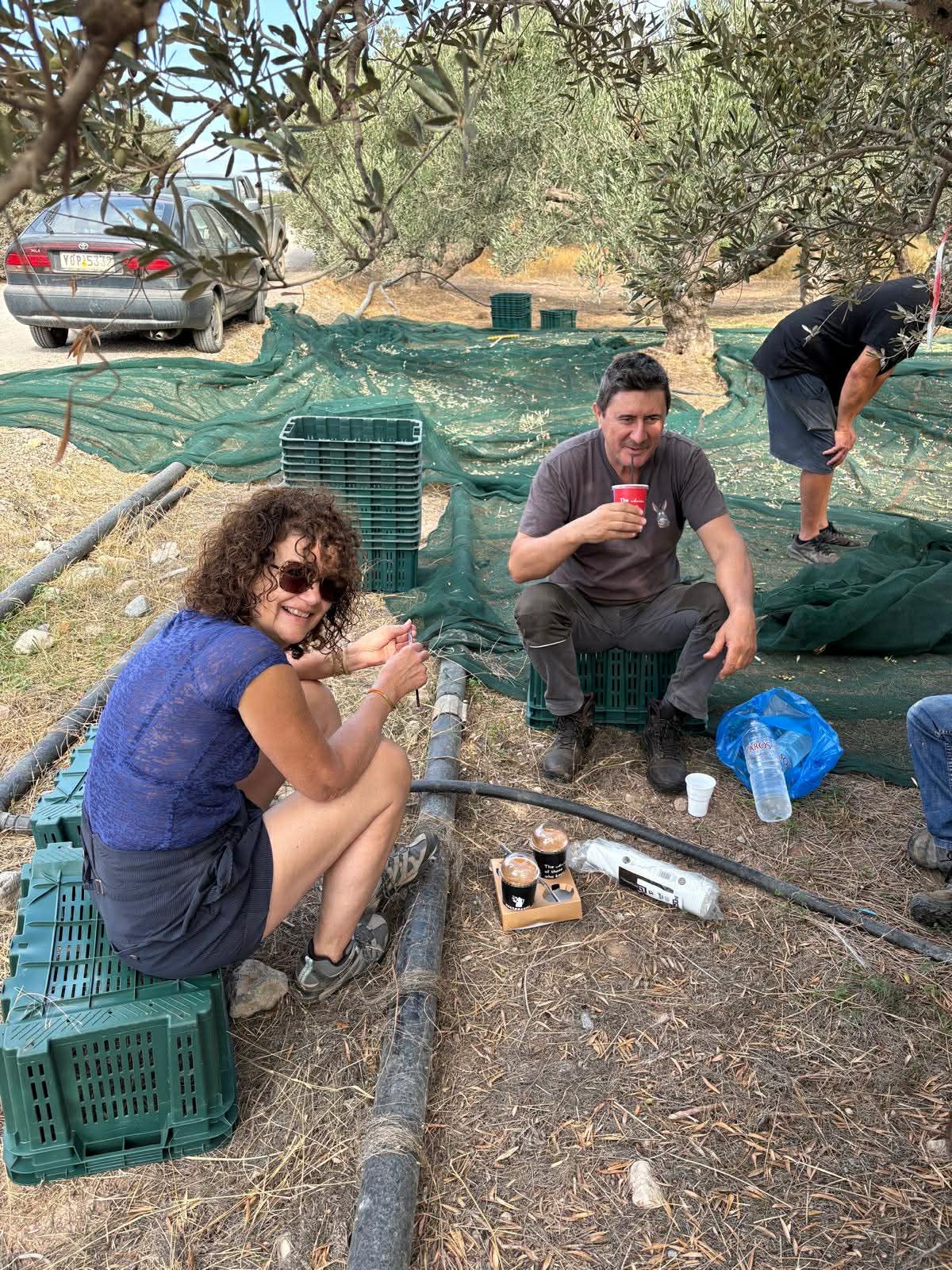 La récolte précoce