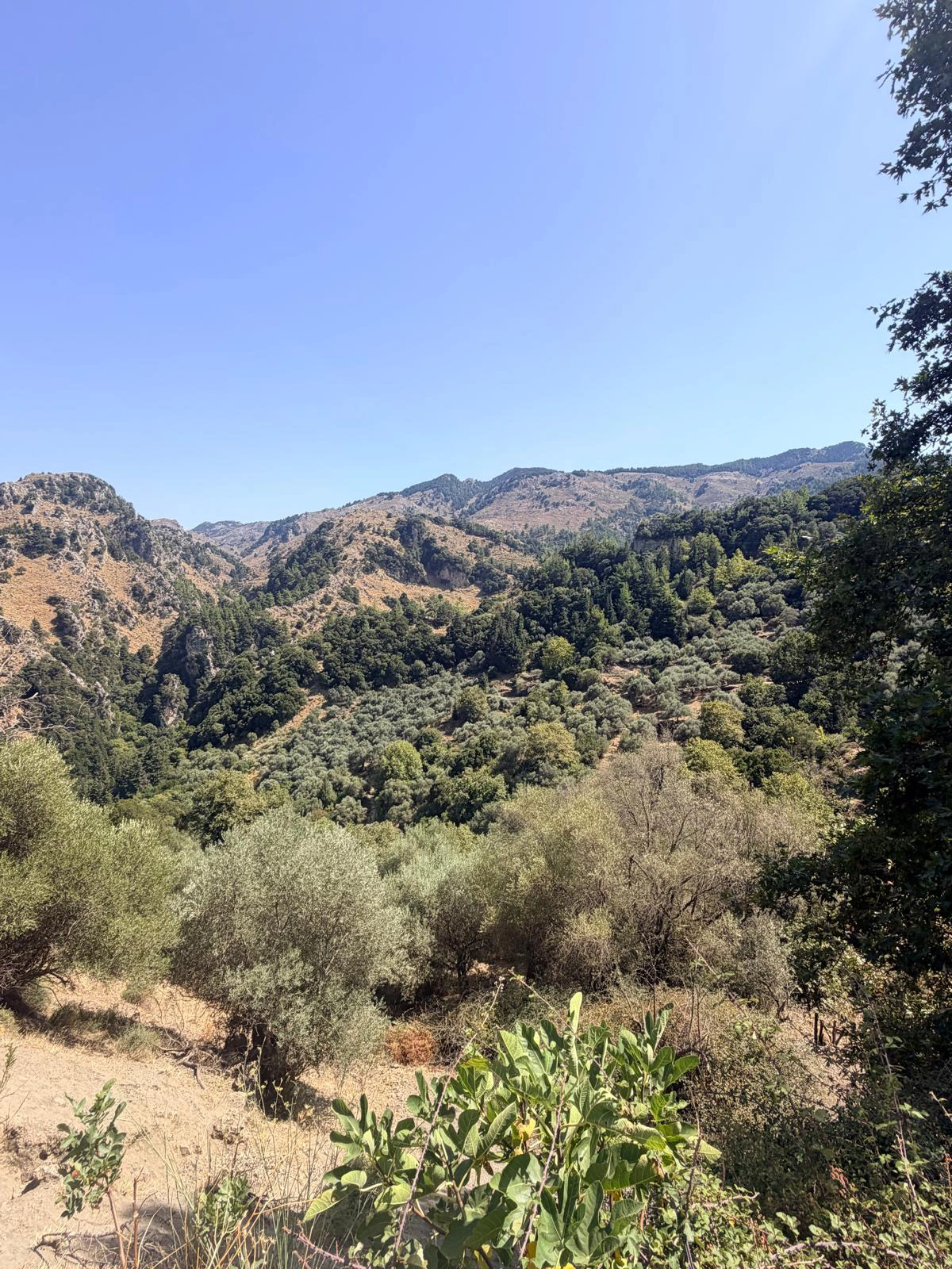 Paysage de crète